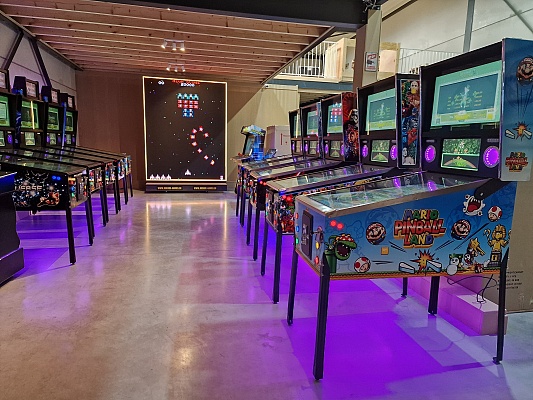 42"LCD- en 49"4K + SSF Virtual Pinballs met 1300 Speelvelden en een Jukebox